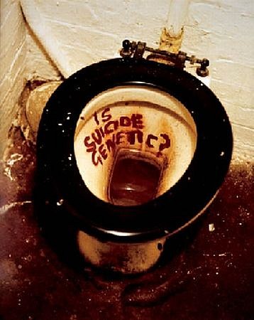 Sarah Lucas, Is Suicide Genetic
1996, cibachrome