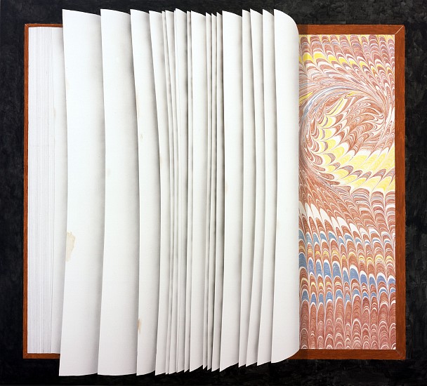 Ed Ruscha, Fanned Book
2012, Acrylic and charcoal on canvas
